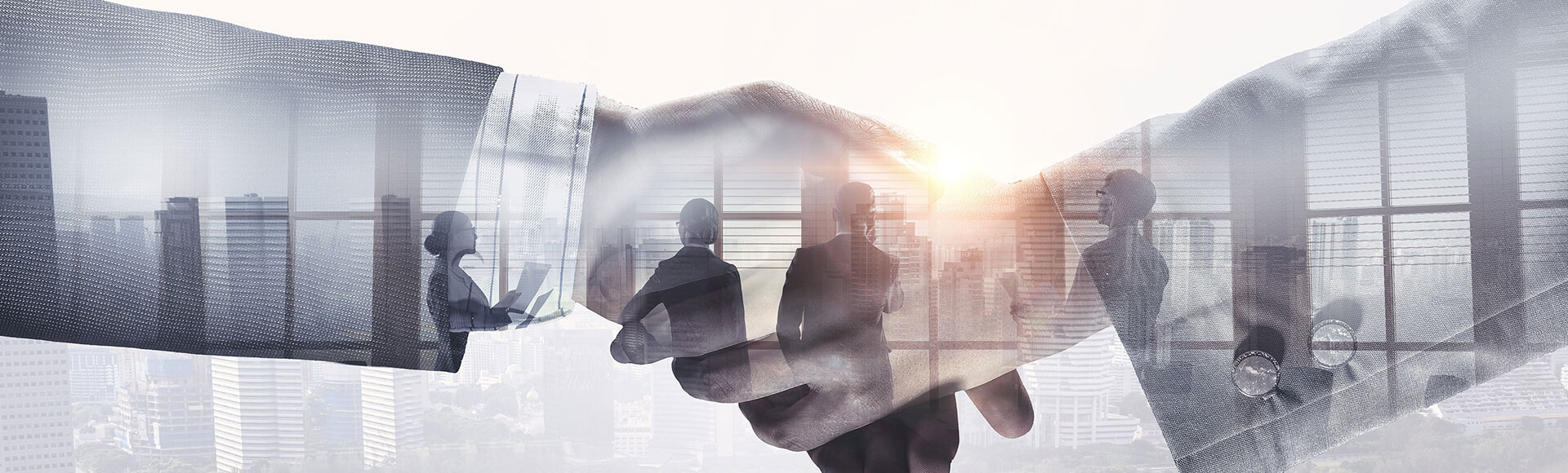 Shareholder Relations Archives - Ticco